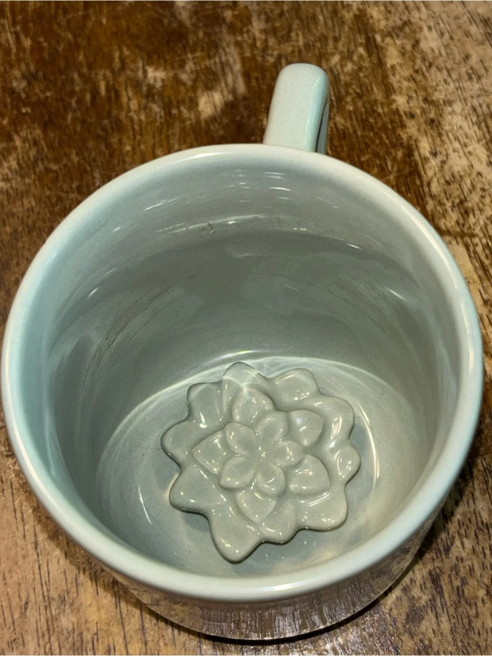 Proud Plant Parent Mug 3D Succulent Inside Horizon Group Green Earthenware
